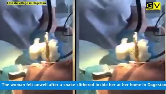 Ular internetda rus pornosini aylana boshladilar.