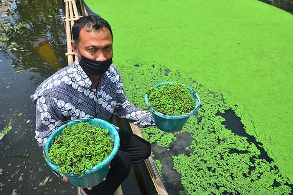 Realiti-shoularda yalangoch suratlar