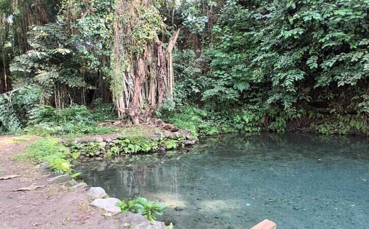 Umbul Kroman, a Hidden Paradise in Mranggen Village, Klaten Umbul Kroman, a Hidden Paradise in Mranggen Village, Klaten