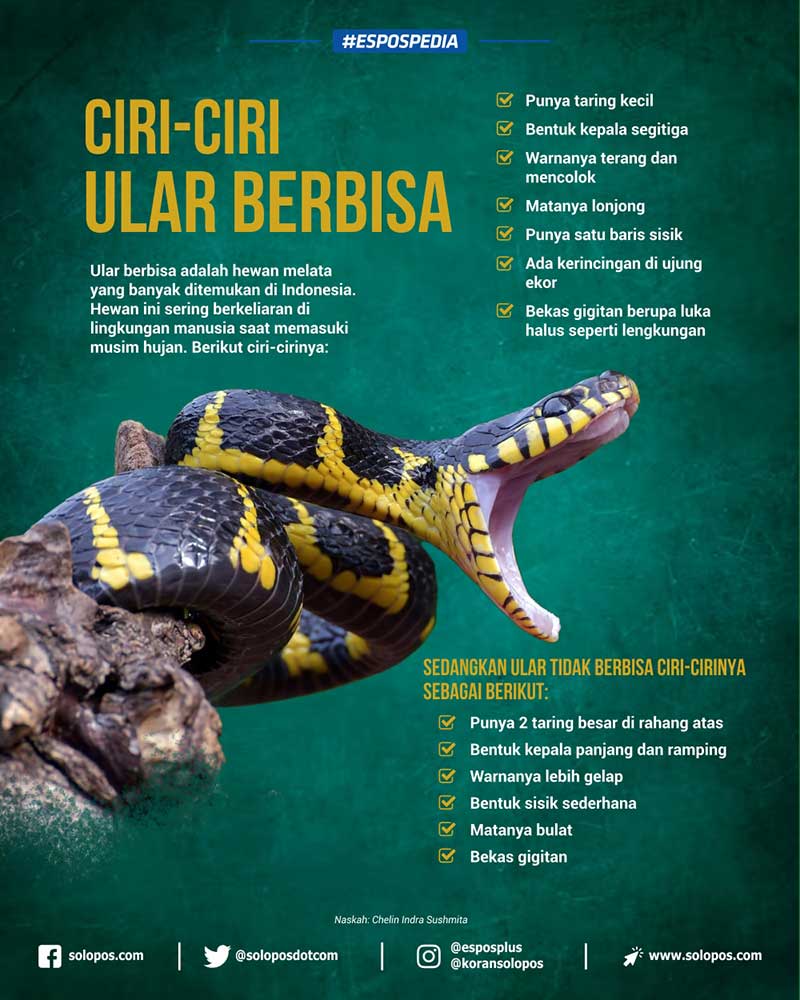 Dasha Bukinaning jinsiy aloqa porno videolari