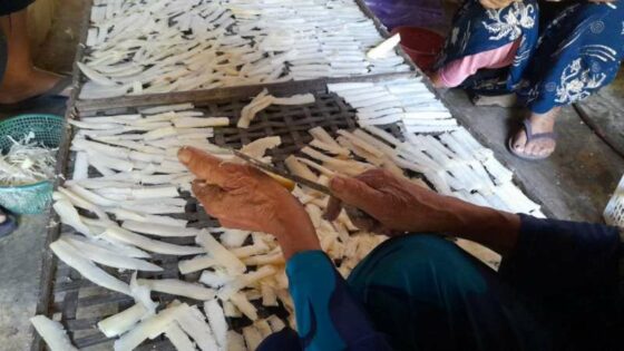 Oleh-oleh Balung Kethek dan Asal Penamaannya yang Tak Berkaitan dengan ...