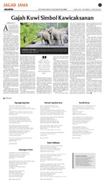 koran solopos