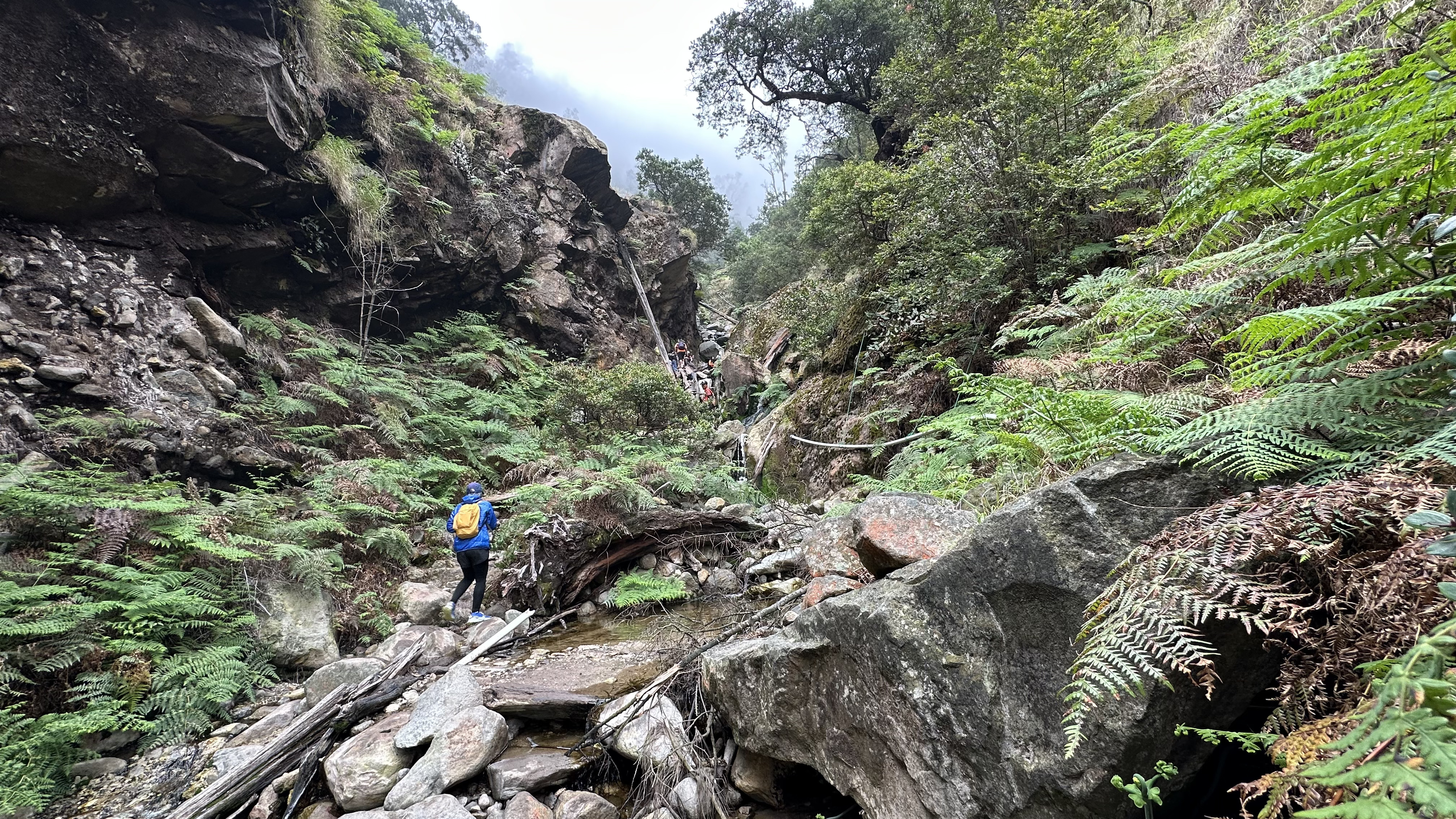 Pendaki menyusuri sungai bekas aliran lahar Gunung Lawu yang menjadi trek menuju Kawah Condrodimuko atau Candradimuka, Sabtu (26/7/2025). (Solopos/Mariyana Ricky P.D.)