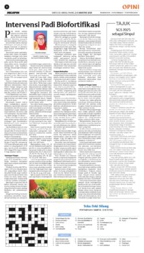 koran solopos